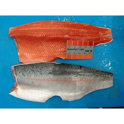 تصویر  Salmon Trout