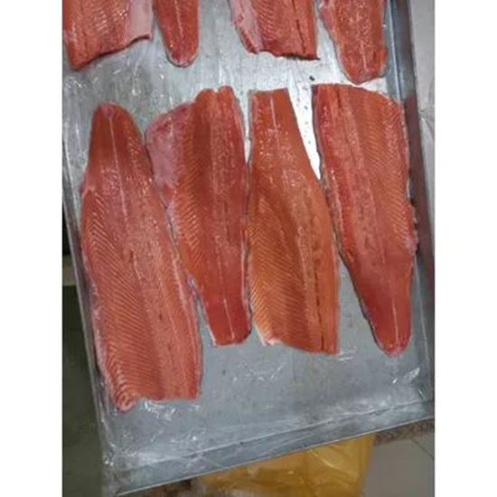 تصویر  Salmon Trout