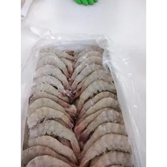 تصویر  Headless Vannamei Shrimp