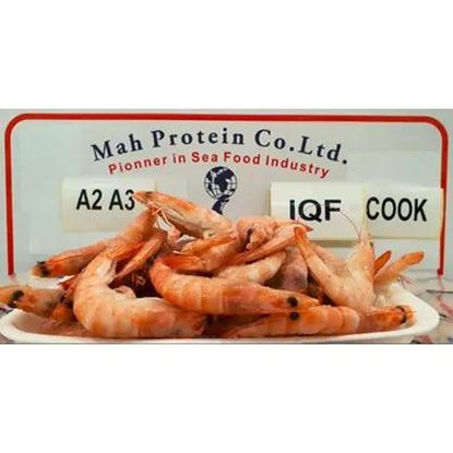 تصویر  Blanched Vannamei Shrimp