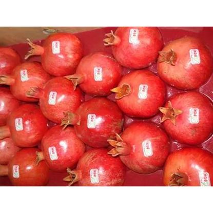 تصویر  Fresh Pomegranates