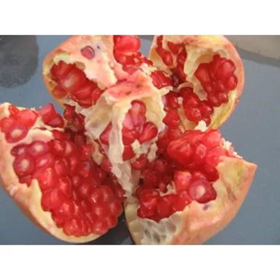 تصویر  Fresh Pomegranates