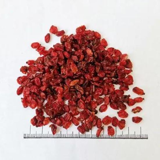 تصویر  Barberry