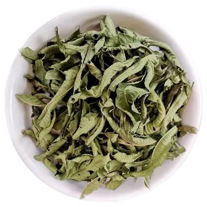 تصویر  Lemon Verbena