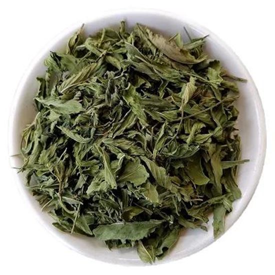 تصویر  Spearmint
