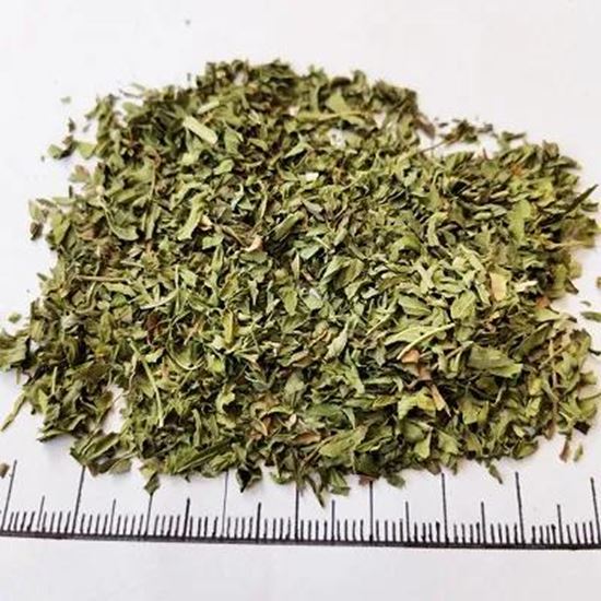 تصویر  Spearmint