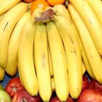 تصویر  درخواست تامین کننده موز ار اکوادور ، هند ، فیلیپین و برزیل