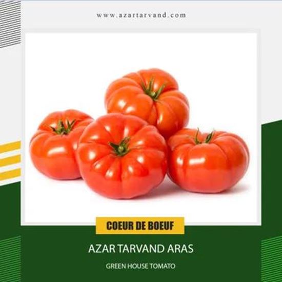 تصویر  گوجه فرنگی گلخانه ای