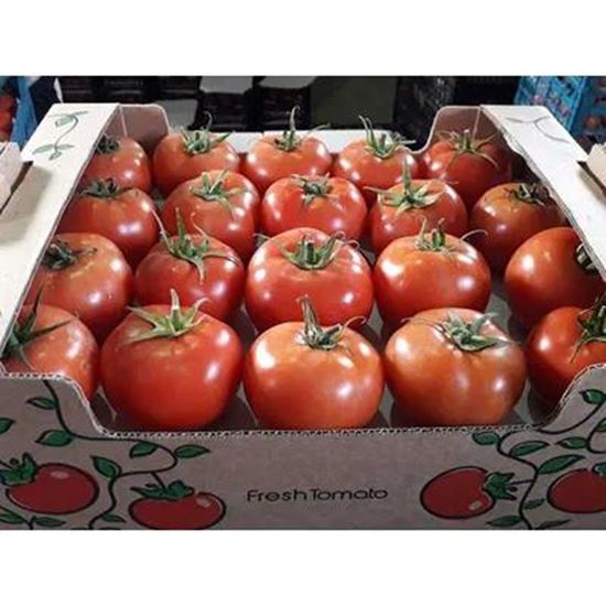 Picture Of fresh vegetables