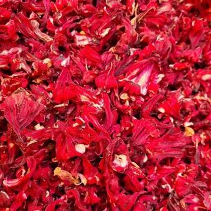 Picture Of Hibiscus