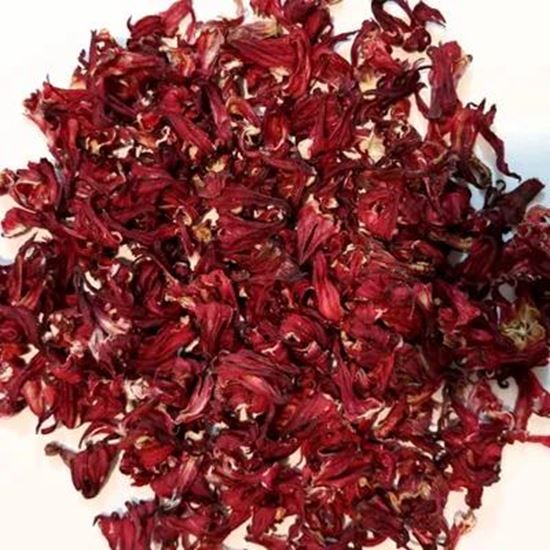 Picture Of Hibiscus