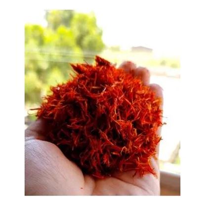 Picture Of Safflower