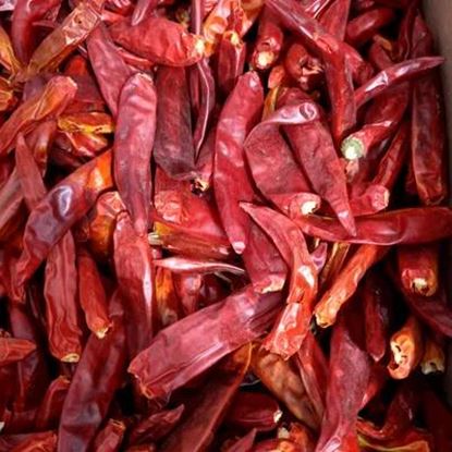 Picture Of Red Chili