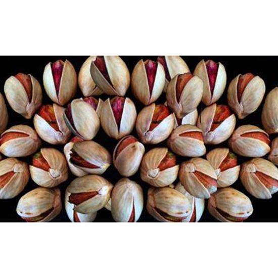 تصویر  پسته کله قوچی