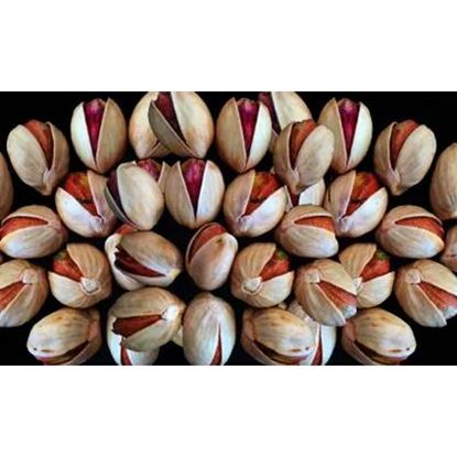 تصویر  پسته پرشین کله قوچی