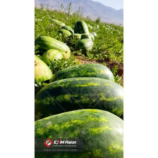 تصویر  هندوانه تازه ایران