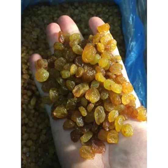 تصویر  raisins