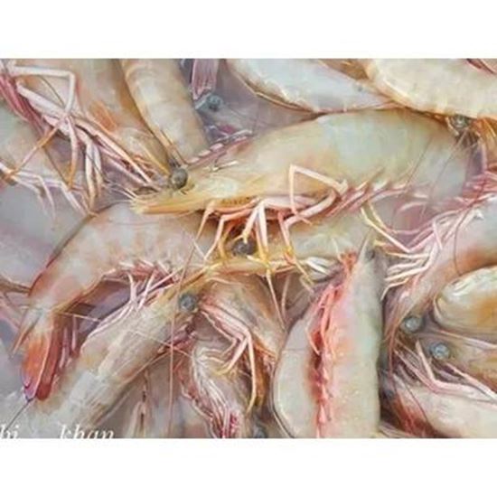 تصویر  Fresh and frozen shrimp. King shrimp and other types