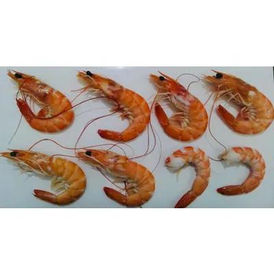 Vannamei Shrimp