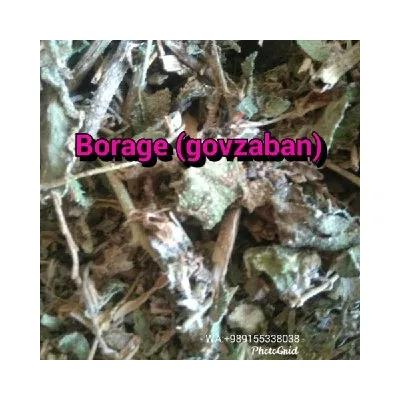 عمده فروشی: گل گاوزبان، Gaozaban (Anchusa strigosa)