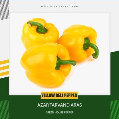 فلفل دلمه ای تازه