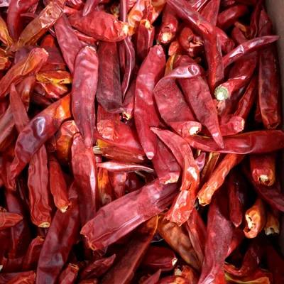 Red Chili