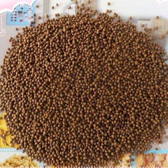 خوراک ماهی قزل آلا