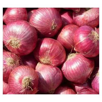 red onion