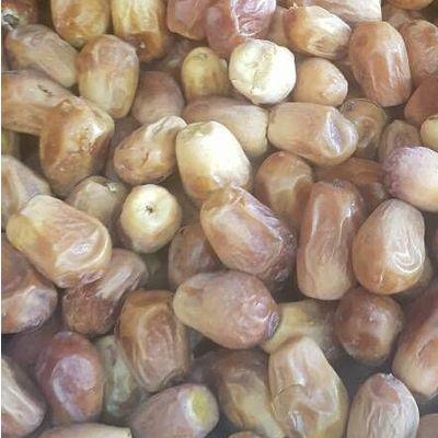 تاریخ زاهدی