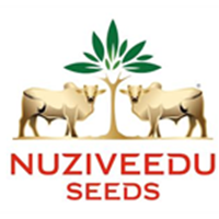 Nuziveeduseeds
