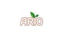 ARIO FOOD CO